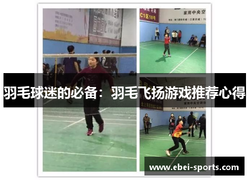 羽毛球迷的必备：羽毛飞扬游戏推荐心得